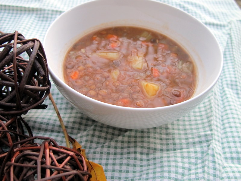 Two Minds Cook Alike Brown Lentil Soup
