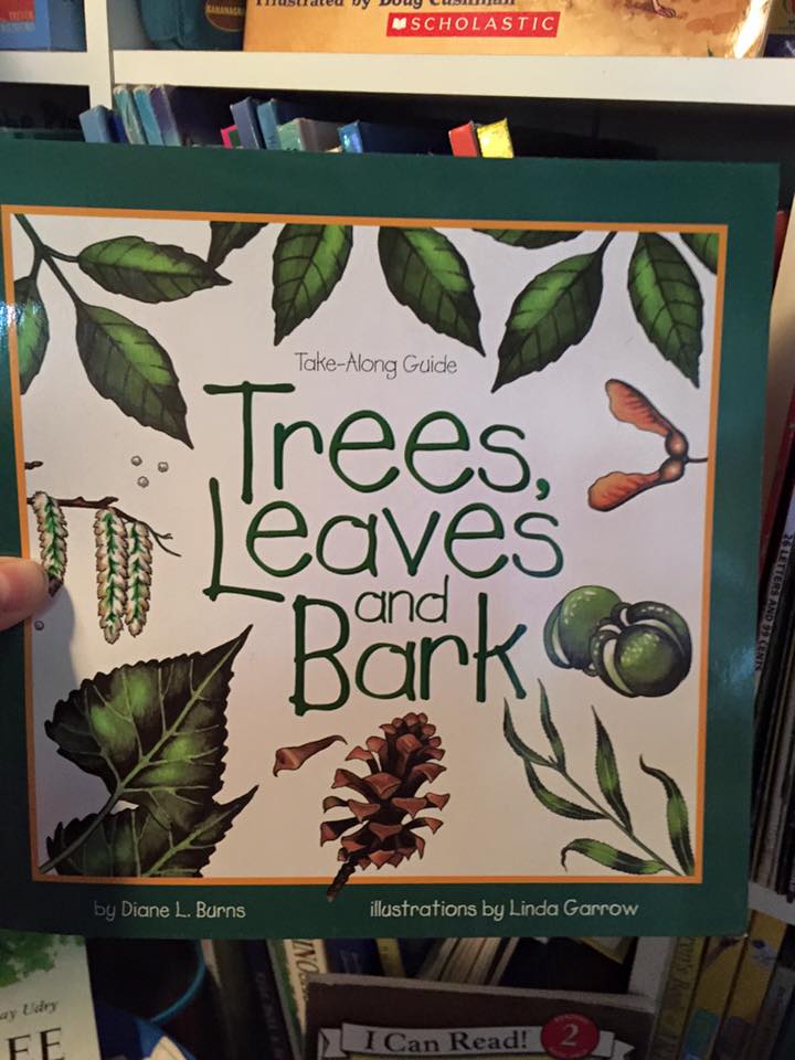4 Awesome Books about Trees Homeschool and Light Tables