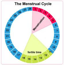 Best Ovulation Calendar To Conceive A Boy