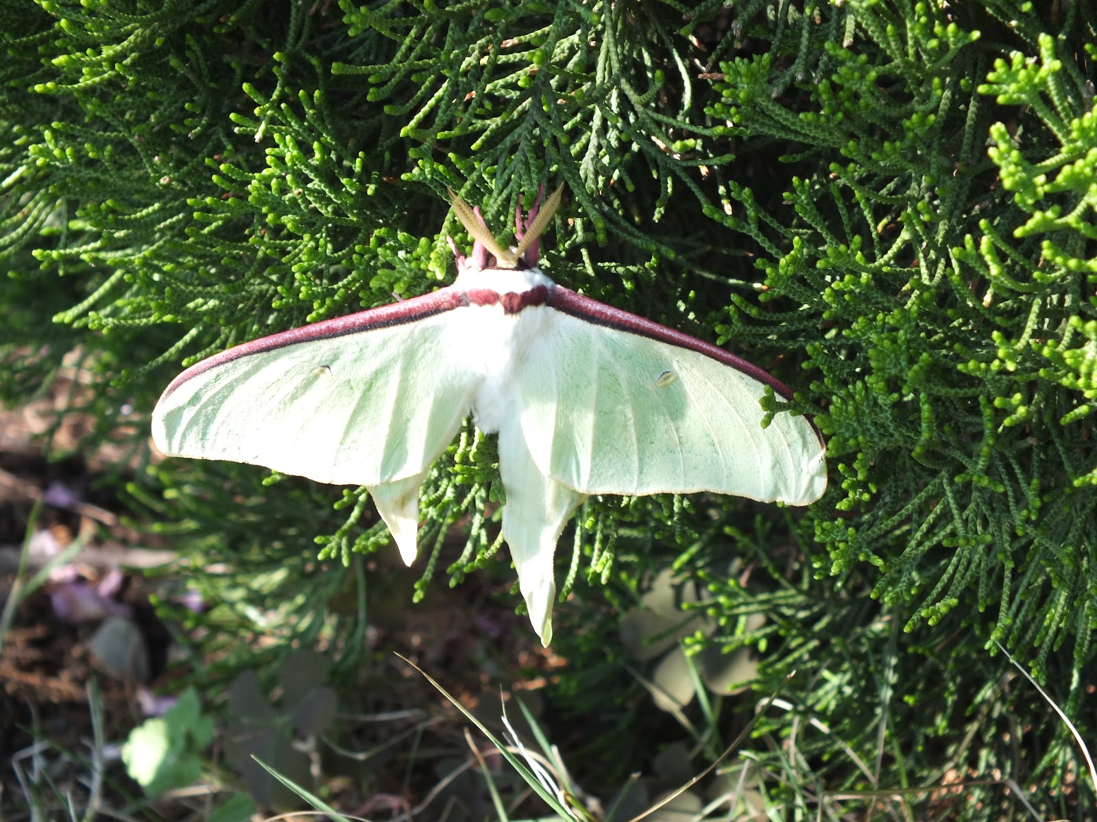 いきものぶろぐ 12