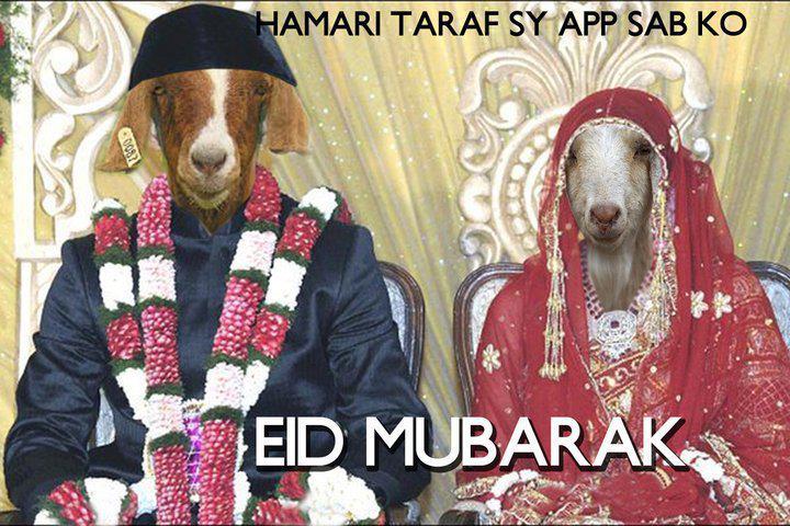 ~~Wedding~~ Bakra+Eid+ul+Adha+Funny+Message+%25282%2529