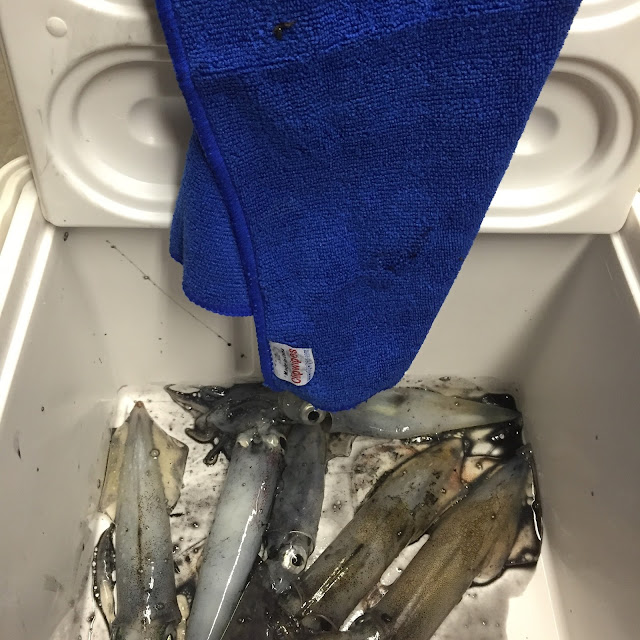 Bait Towel is a Kayak Fishing Essential