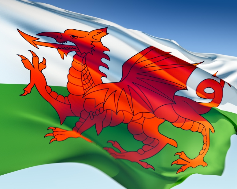 Welsh Fla