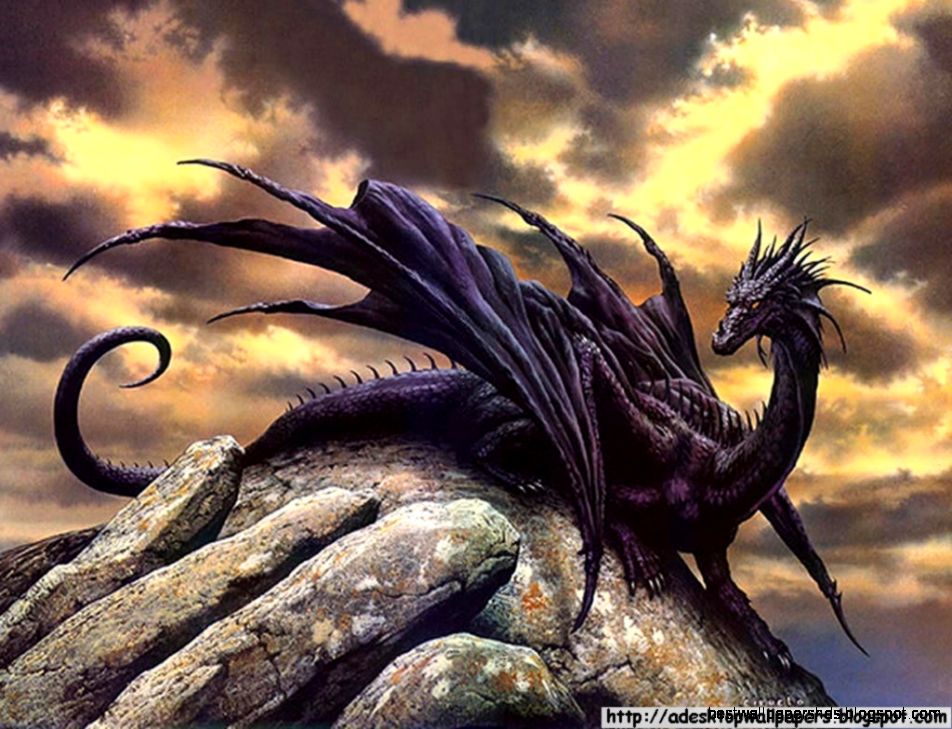 Free Dragon Desktop Wallpaper 19052 HD Wallpapers Free Dragon Desktop Wallpaper 19052 HD Wallpapers