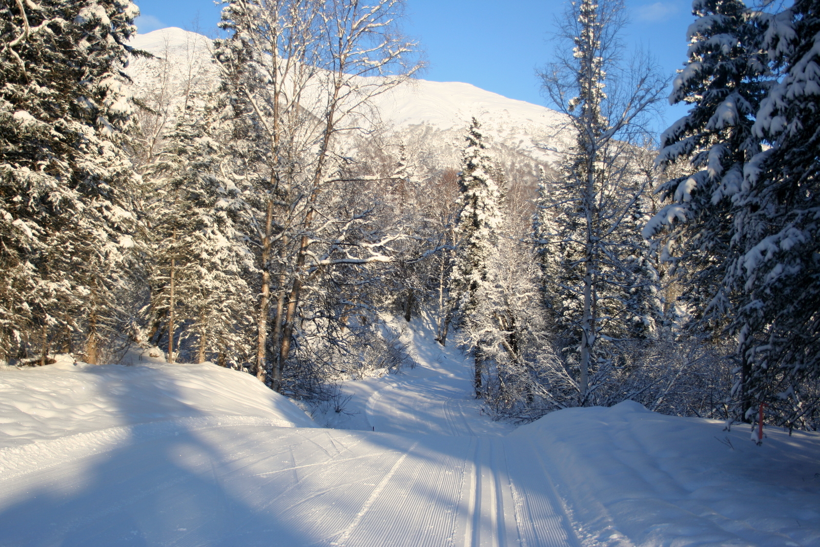 Life Alaskan Style Hatcher's Pass