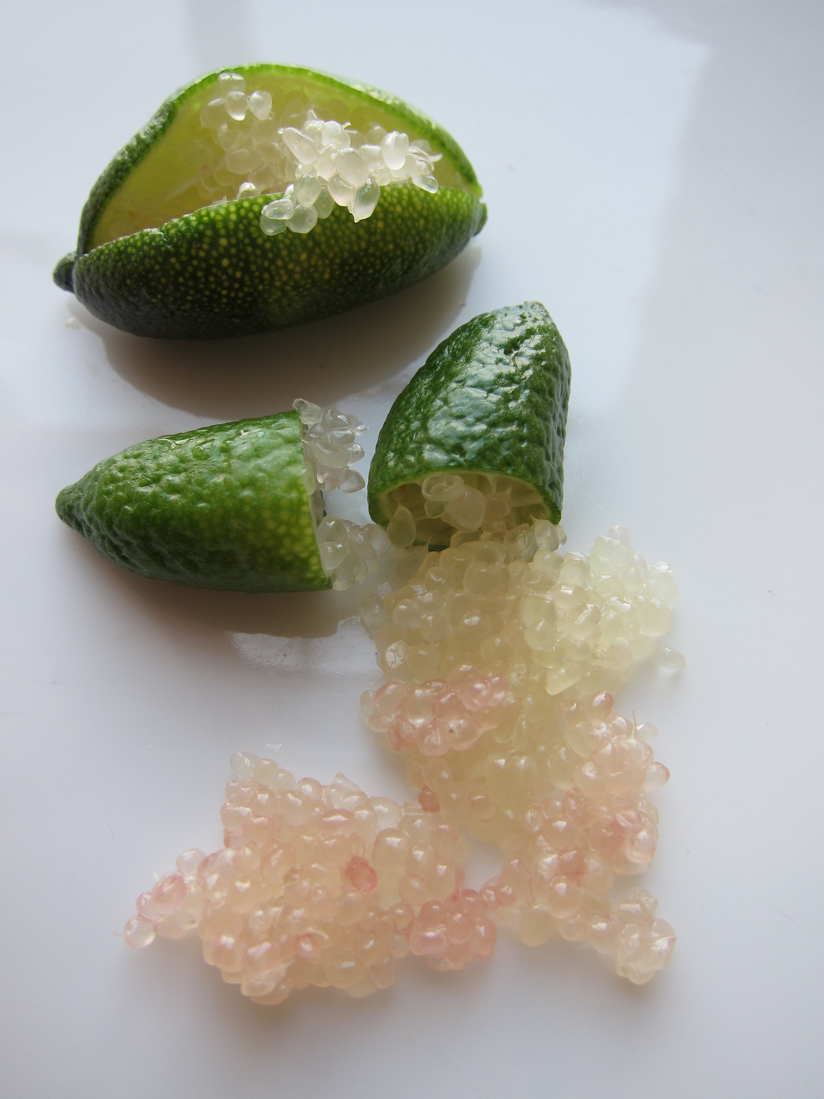 Finger Limes Expensive at Patricia Hurt blog