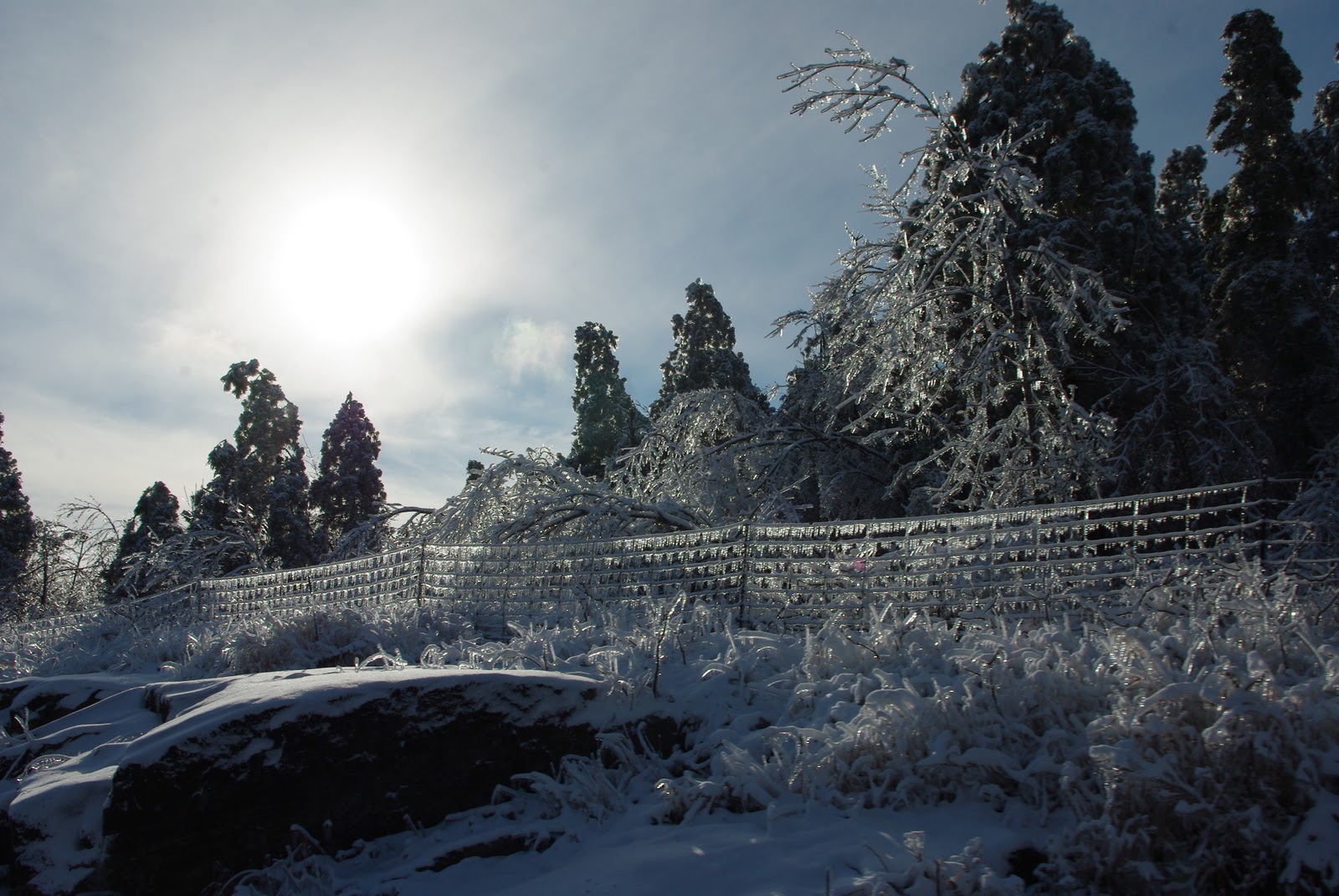 Another Deb Island Ice Storm at Foymount