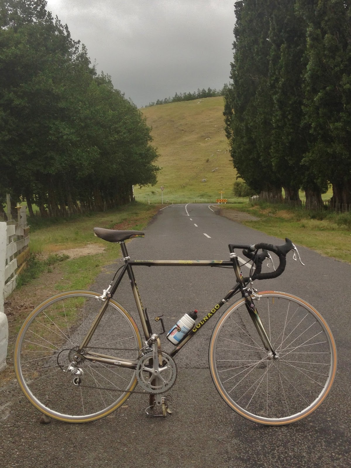 colnago bititan for sale