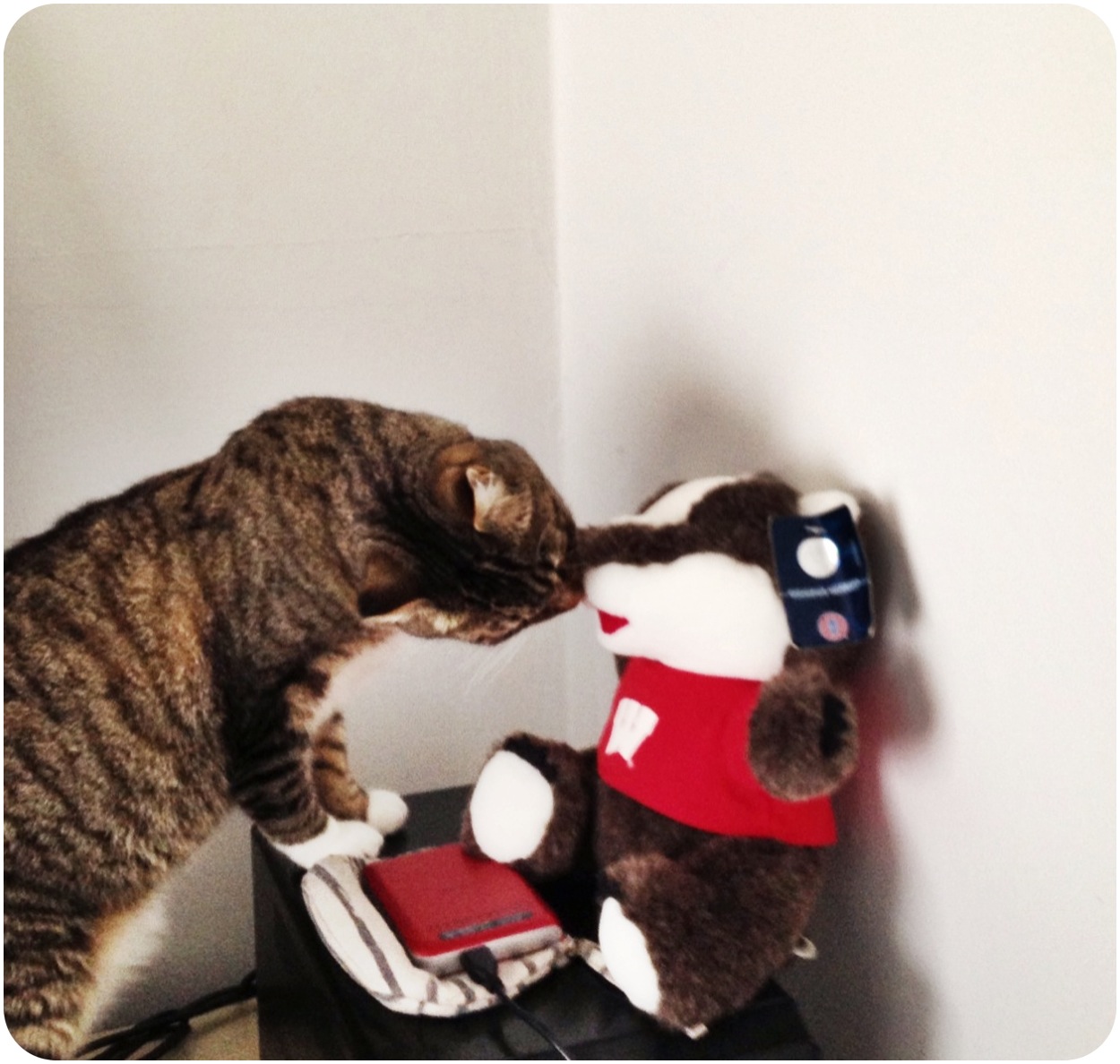 trelabela I made a stuffed animal chalk bag!