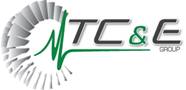 Turbine Controls and Excitation Group, Inc.