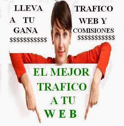 Lleva trafico a tu web