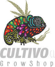 Cultivo Venta Semillas de Marihuana