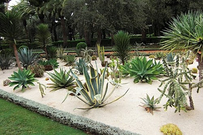 12 Maravillosos Jardines de Cactus · Diseños Creativos · Consejos para