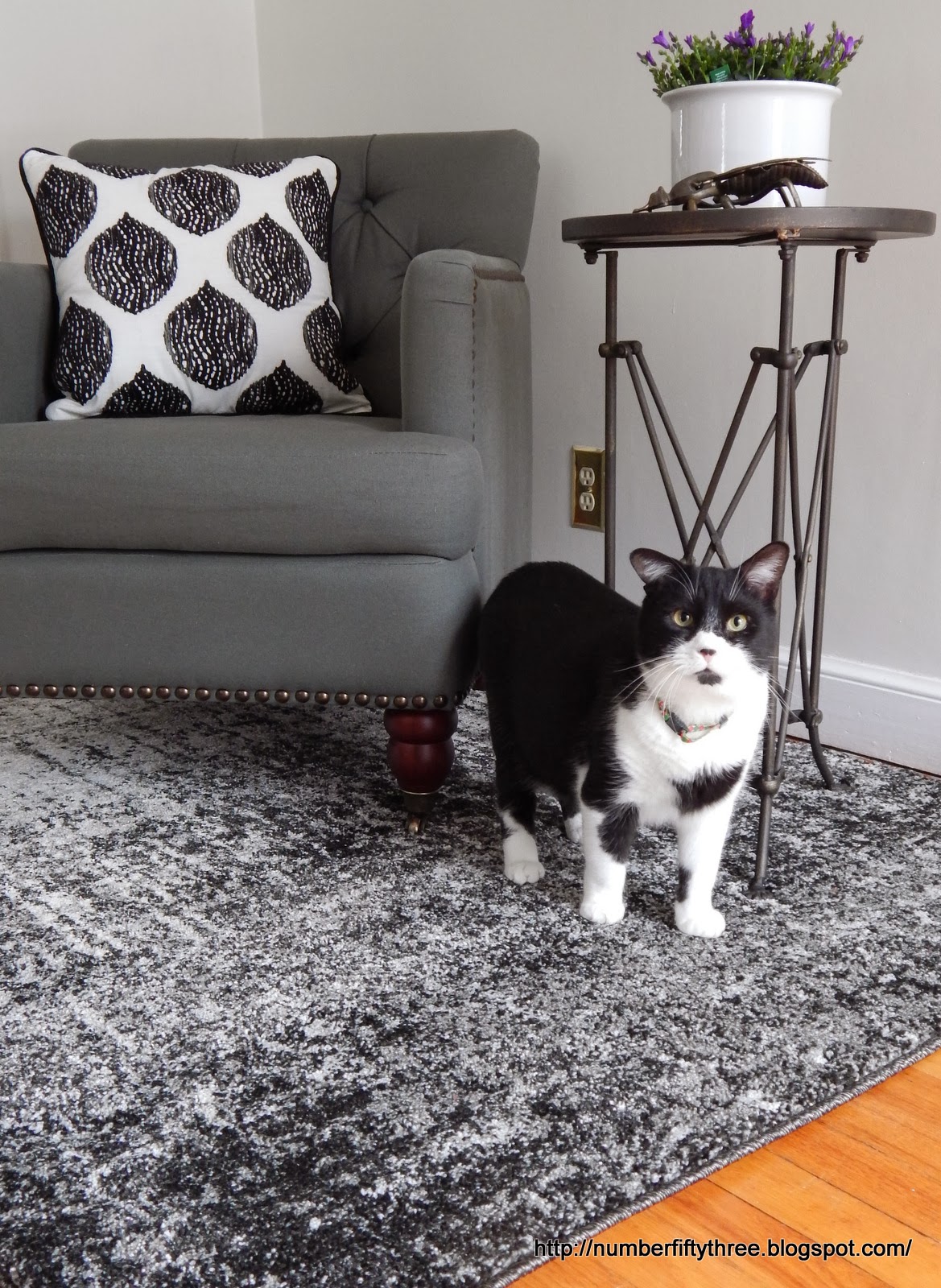 Number FiftyThree Vintage/Modern Bold Rugs Review