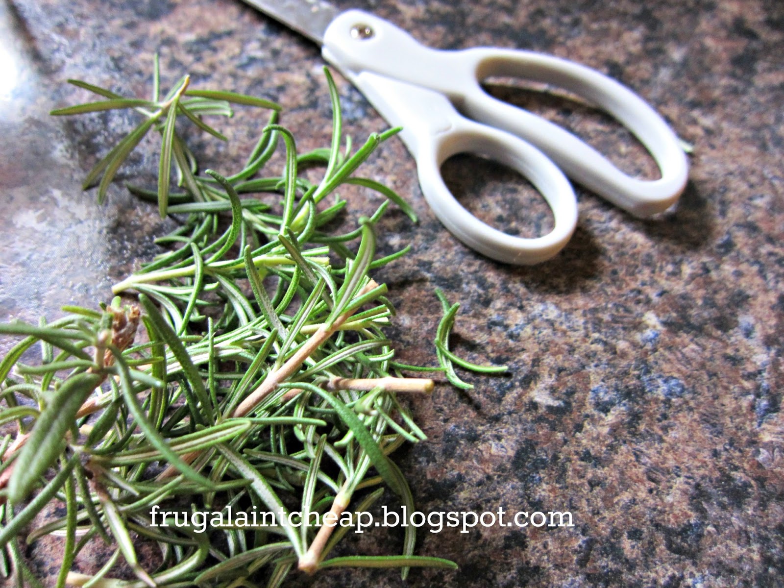 Frugal Ain't Cheap: Natural mosquito repellent