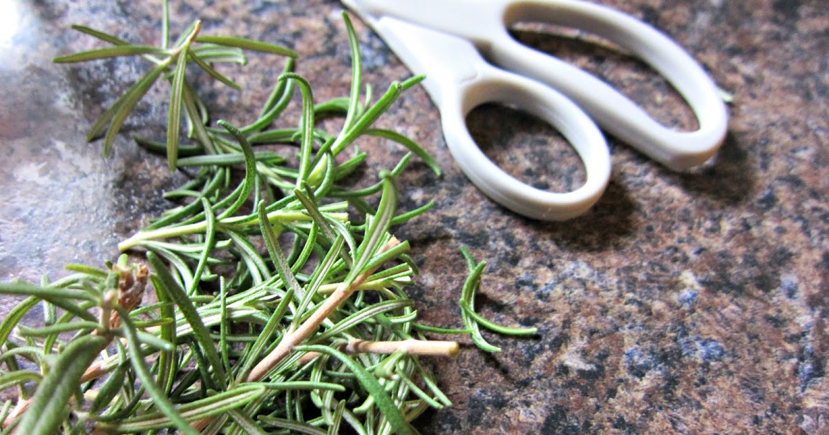 Natural Smells That Repel Mosquitoes - Lavender Mosquito Repellent