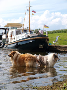 Arbeit macht das Schiff schön