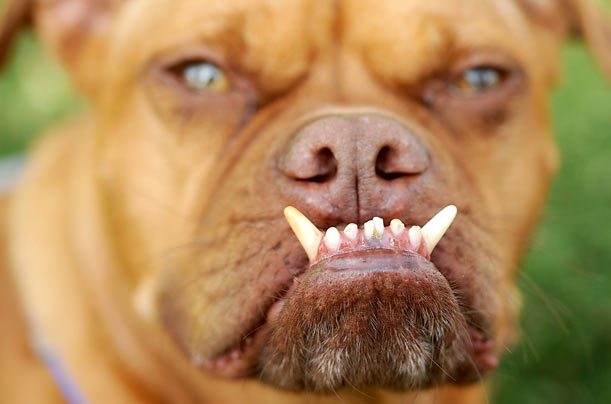 Regina Theyser December 2011