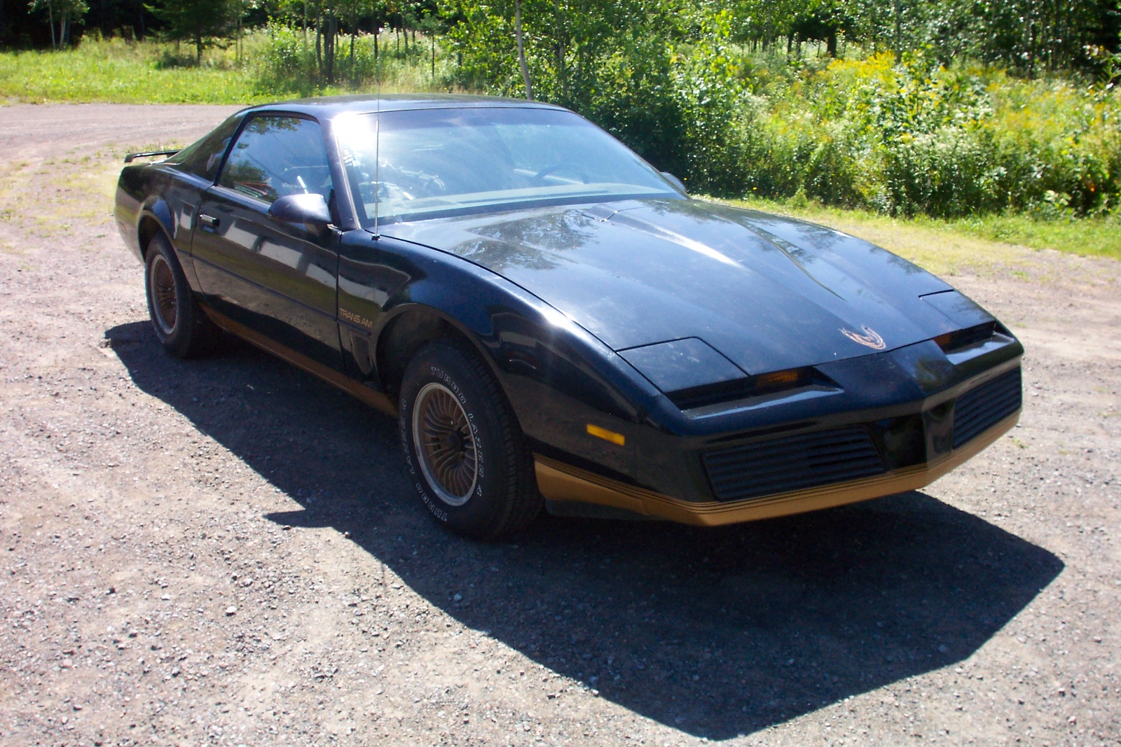 2024 Pontiac Trans AM 2024 Release Date, Price, Reviews, 2024 Trans