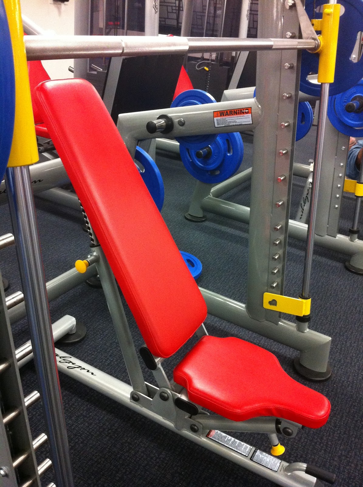 Isys100sportingmq Chest Workout