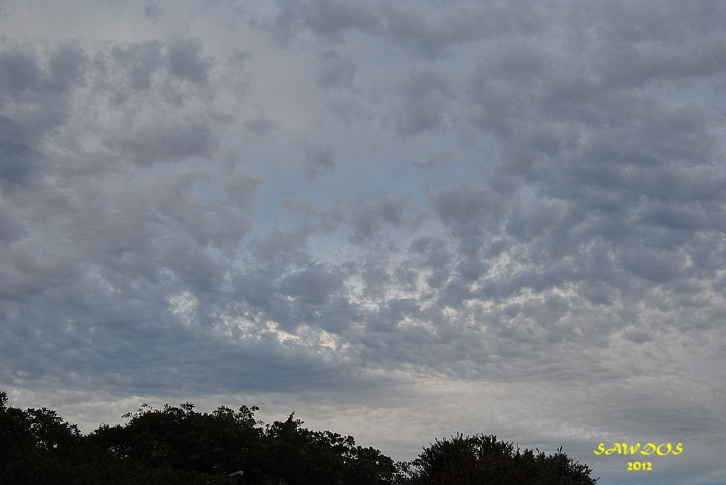 sa weather and disaster observation service real time sa weather and disaster observation service real time
