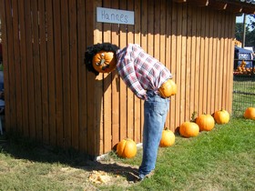 Bocholt Und Mehr Kurbisfest Hof Slueter 20120909