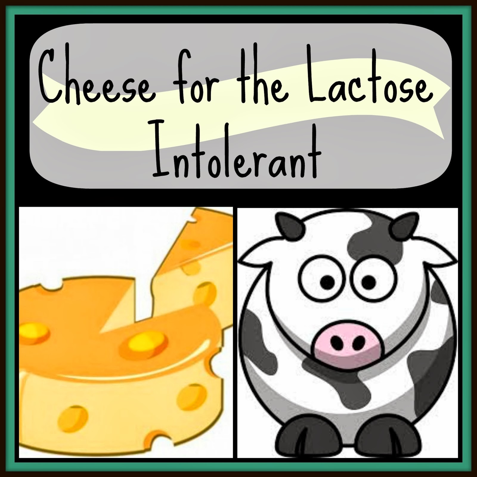 Homemade Shenanigans Cheese for the Lactose Intolerant