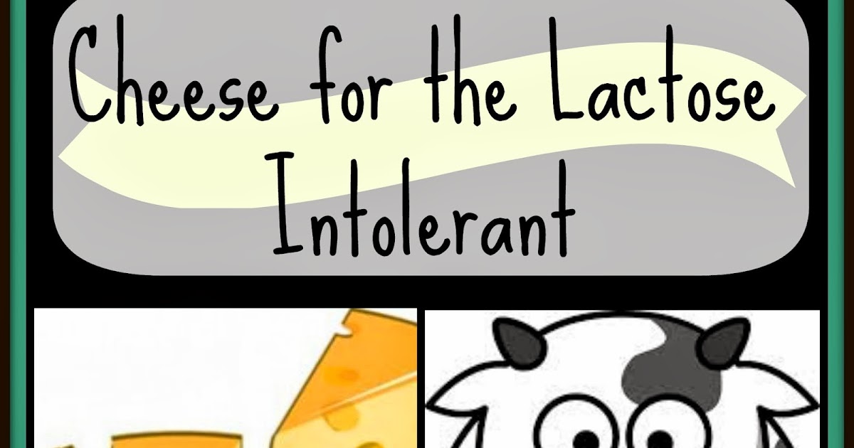 Homemade Shenanigans Cheese for the Lactose Intolerant