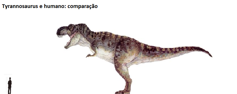 Pesquisa revela que dinossauro T-rex andava, não corria