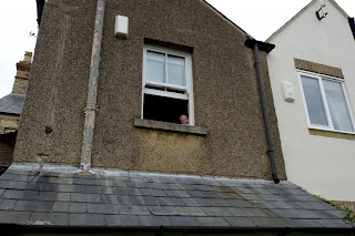 Arthur, el cinéfilo más joven 7