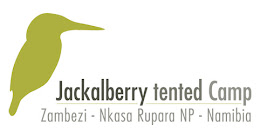 Jackalberry Tented Camp