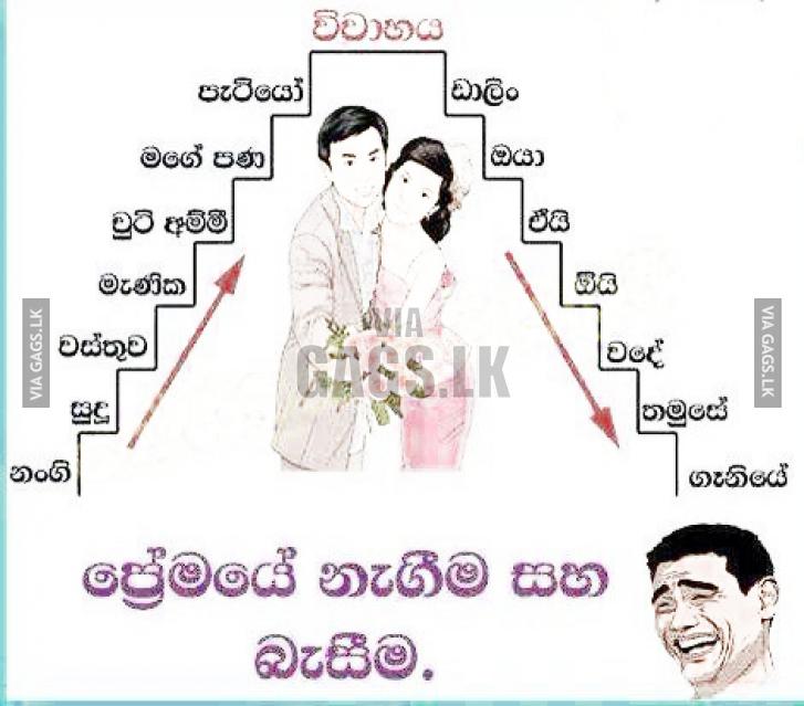 Progress And Regress Of Love After Marriage Gossip Lanka News