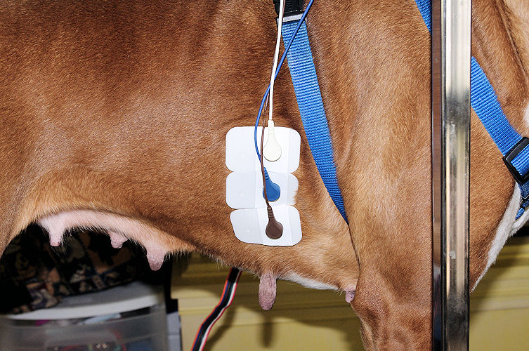 Hookup 101 hookup 101