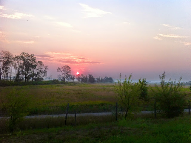 IMG_0019.JPG