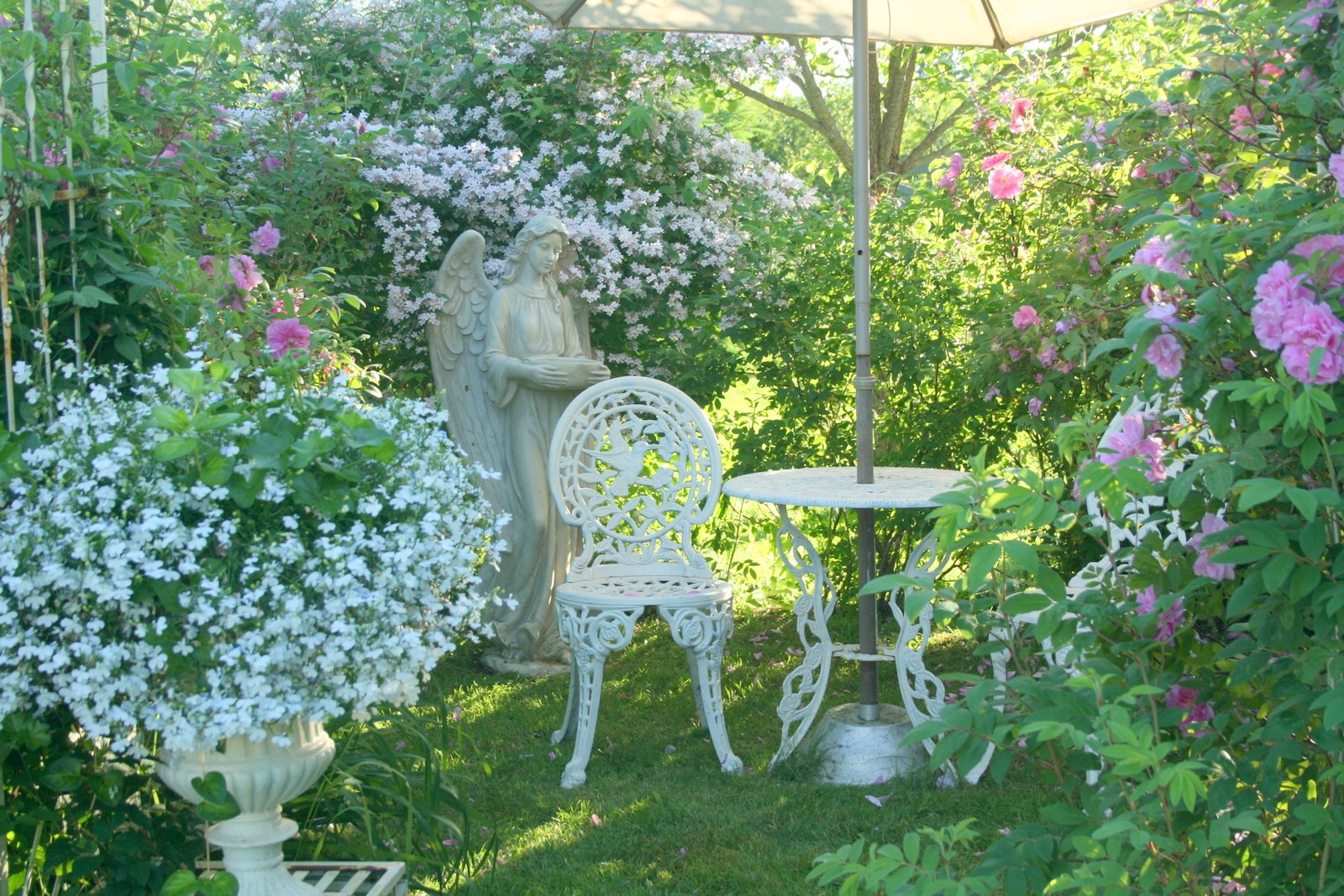 Romantic Rose Garden Real estate, House and Home