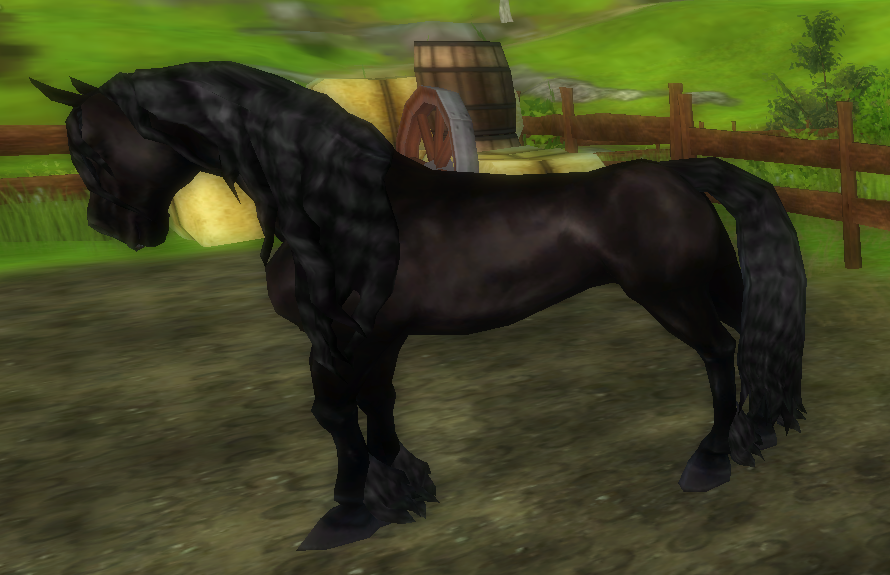 Star Stable Daily Horse Breeds