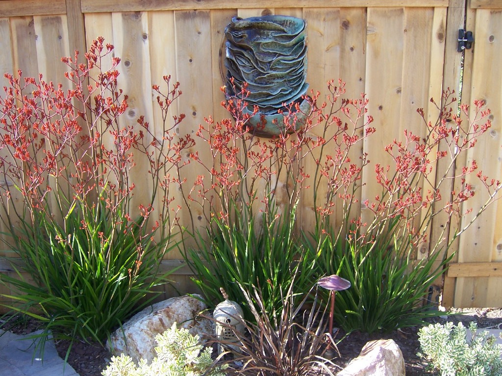 The 2 Minute Gardener: Photo - Oriental Garden