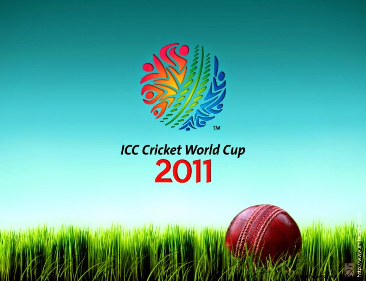 Cricket Photo 549   Sports Wallpaper Cricket Photo 549   Sports Wallpaper