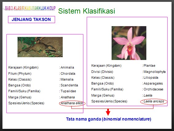 Berbagi Pengetahuan File Powerpoint Klasifikasi Makhluk Hidup