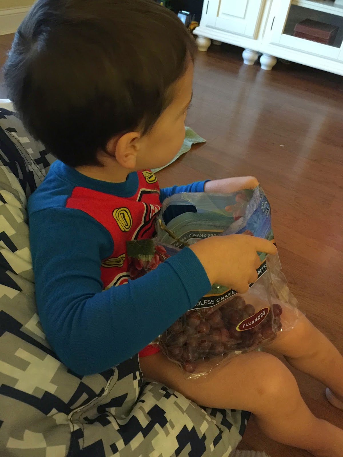 The Robyn's Nest Potty Training Cooper