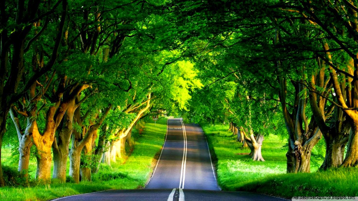 Wallpaper HD 2 HD Wallpaperd Download Free HD Wallapapers in Wallpaper HD 2 HD Wallpaperd Download Free HD Wallapapers in