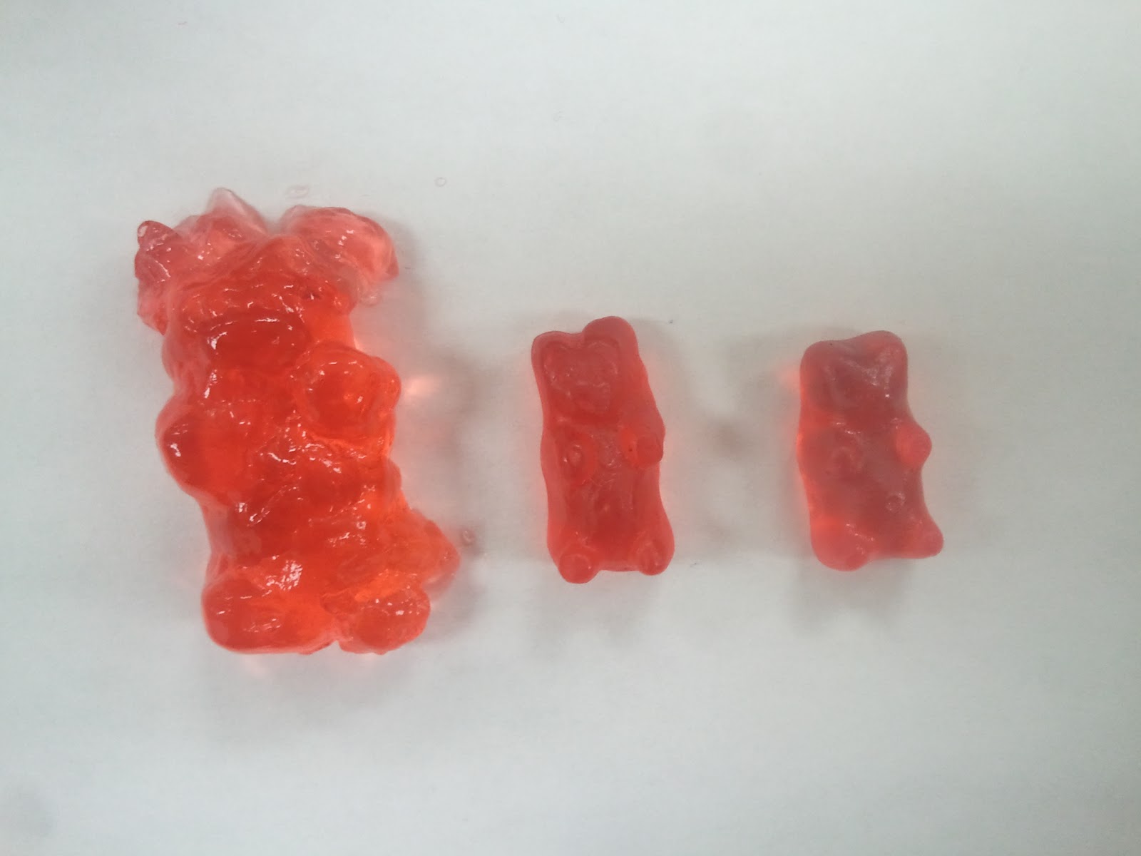 Observing Osmosis In Gummy Bears at Lawana Coleman blog
