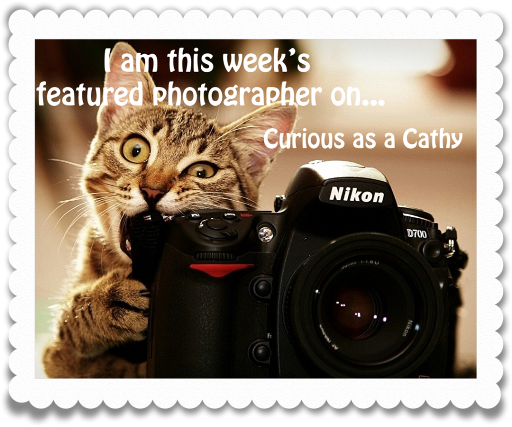 featured photographer