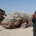 Return to a galaxy far, far away: Leaked photos from the set of new Star Wars movie reveal an 'eerily familiar' desert landscape featuring a giant pig-like creature, R2 droids and extras taking selfies