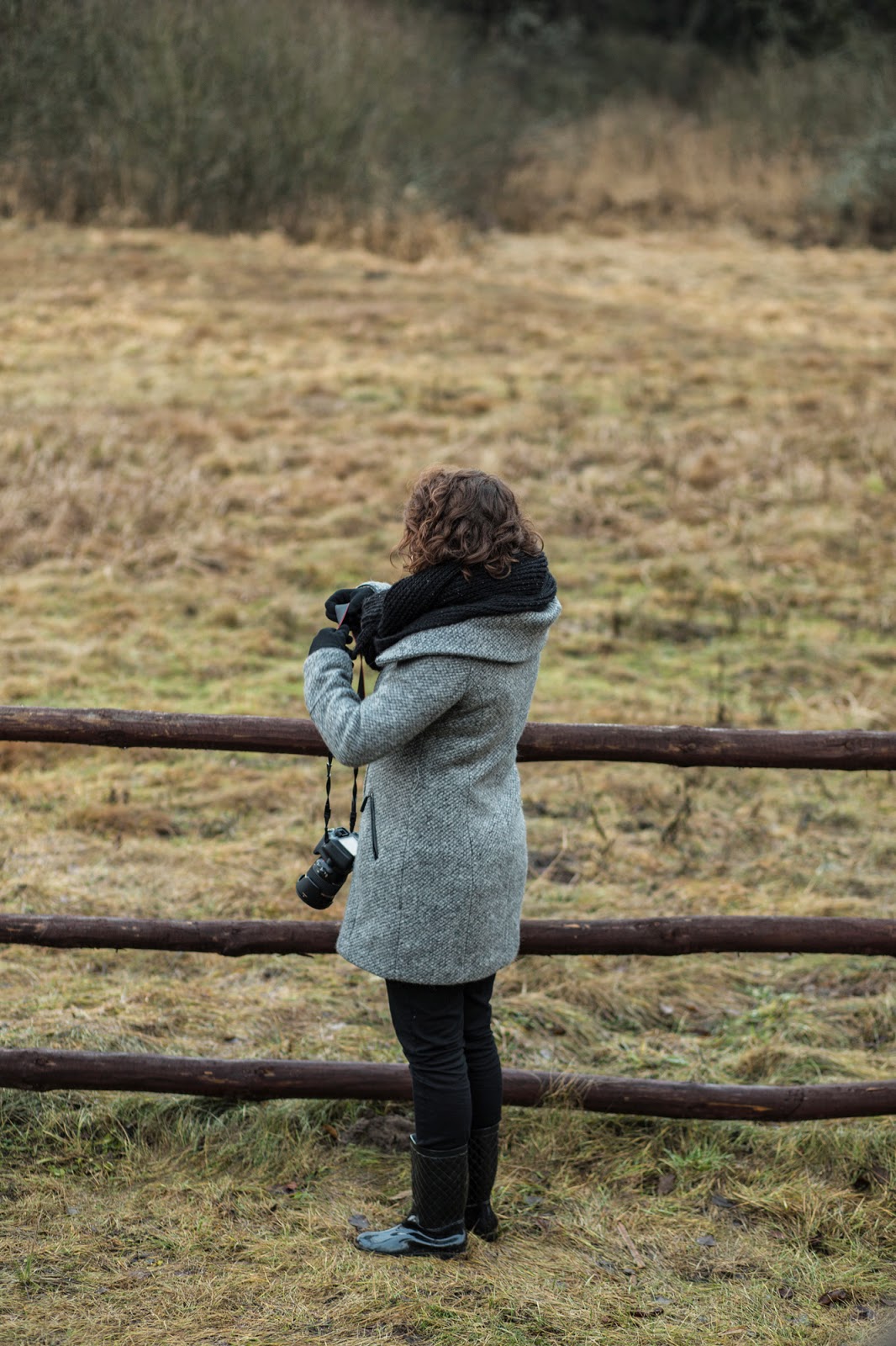 Gwiazdka w Puszczy - Ania w Podróży