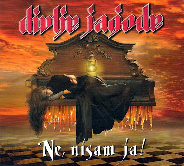 Divlje Jagode - Ne nisam ja 2011