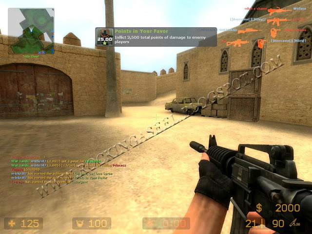 counter strike source