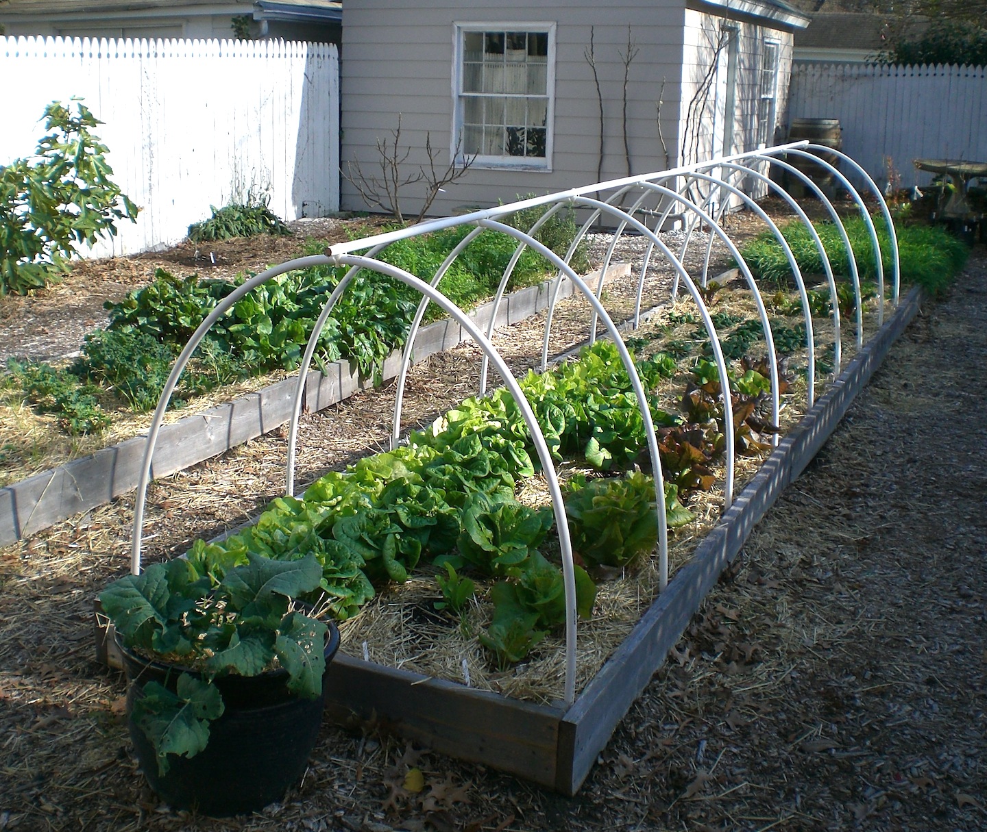 .09 Acres Frost Protection