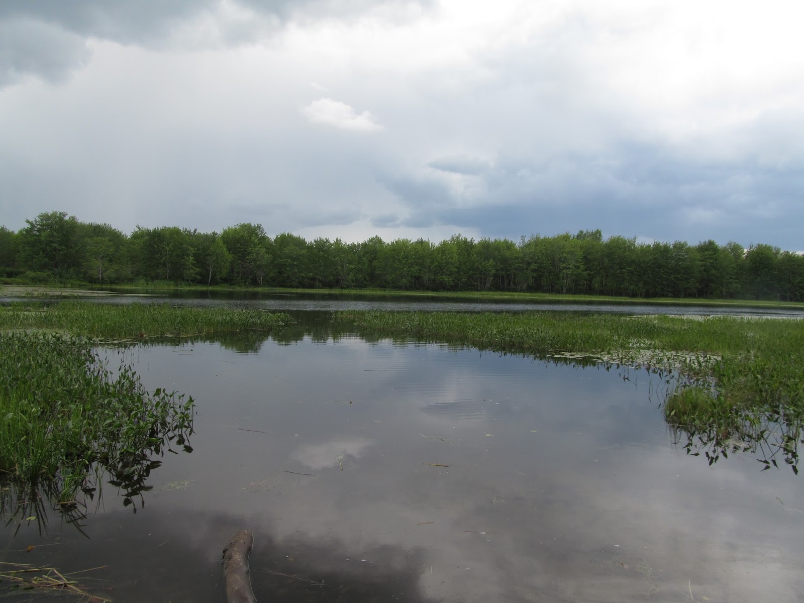Recreational Kayaking in Maine Highland Lake Falmouth/Windham, Maine