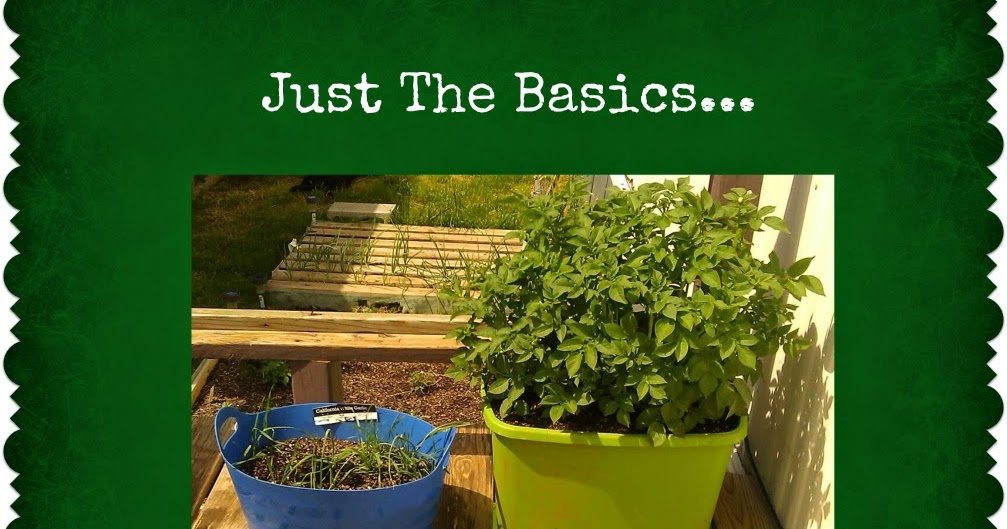 The Trailer Park Homesteader Container Gardening and Fertilizing Methods